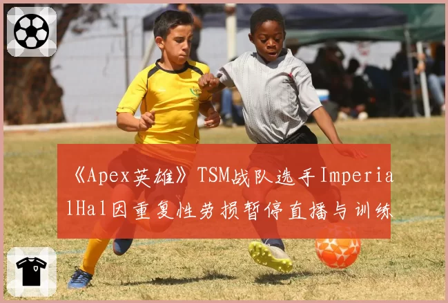 《Apex英雄》TSM战队选手ImperialHal因重复性劳损暂停直播与训练