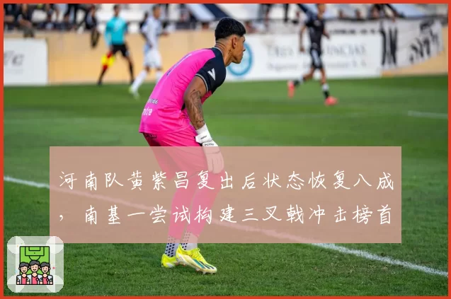 河南队黄紫昌复出后状态恢复八成，南基一尝试构建三叉戟冲击榜首